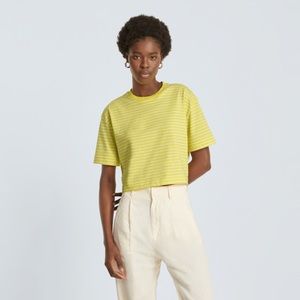 Everlane Cropped T shirt